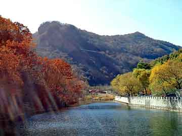 新澳天天开奖资料大全旅游团，电动门感应器价格